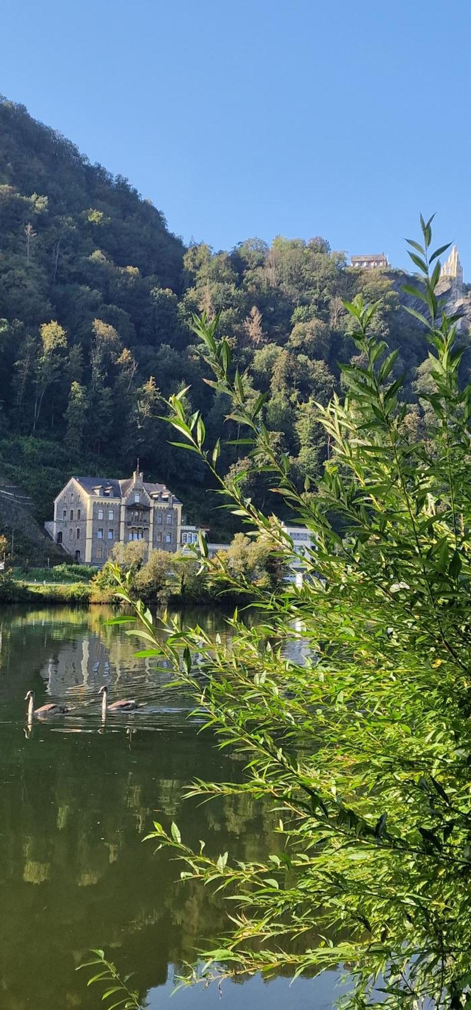Wohnwerk Altbau Suite Traben-Trarbach Esterno foto